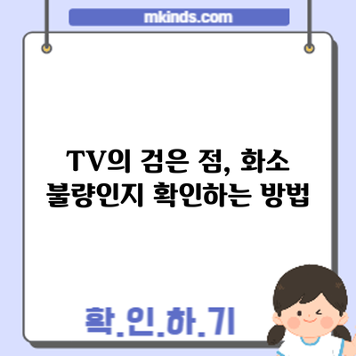 TV의 검은 점, 화소 불량인지 확인하는 방법