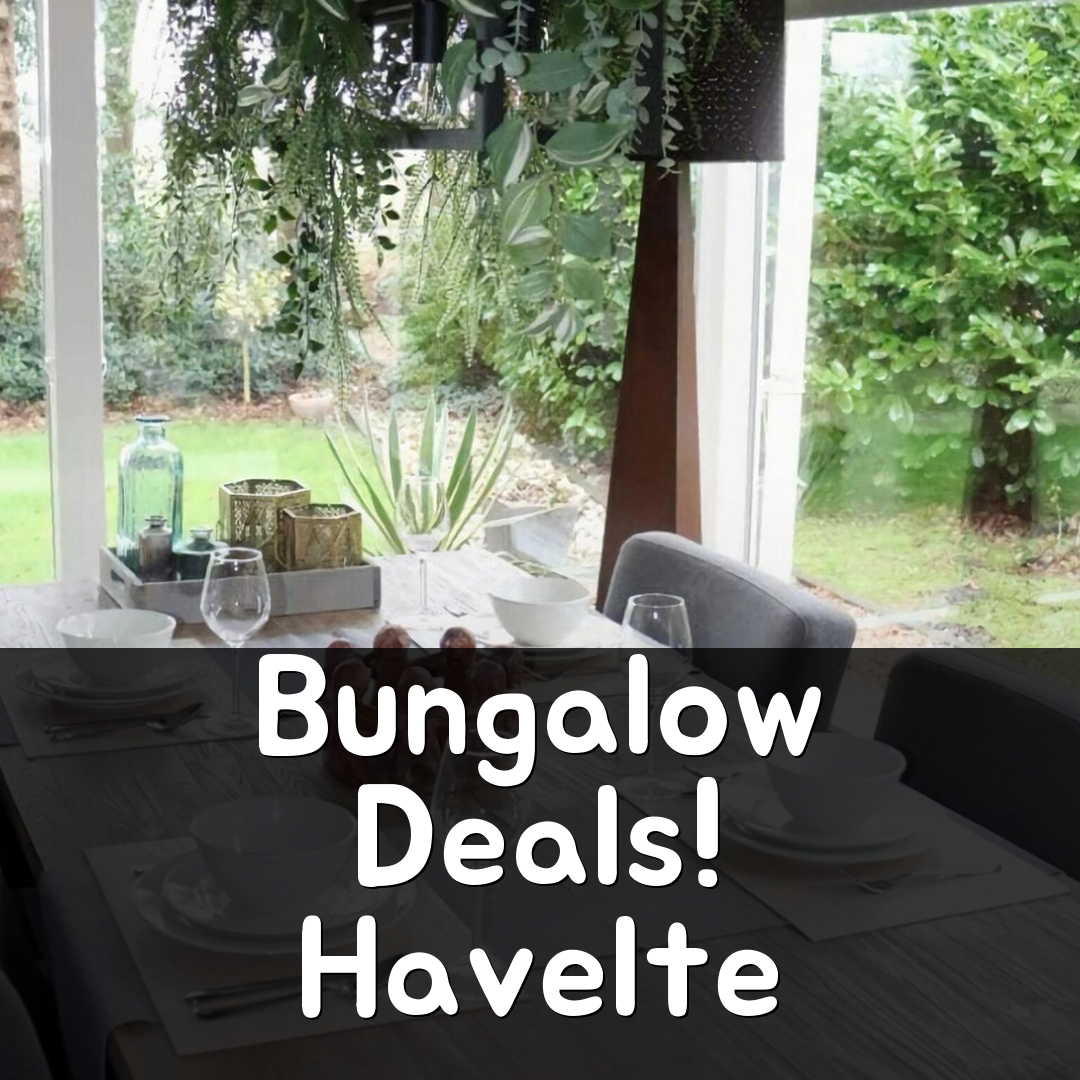 Bungalow in Havelte near Drents-Friese Wold, 와테렌 특가 예약 꿀팁!