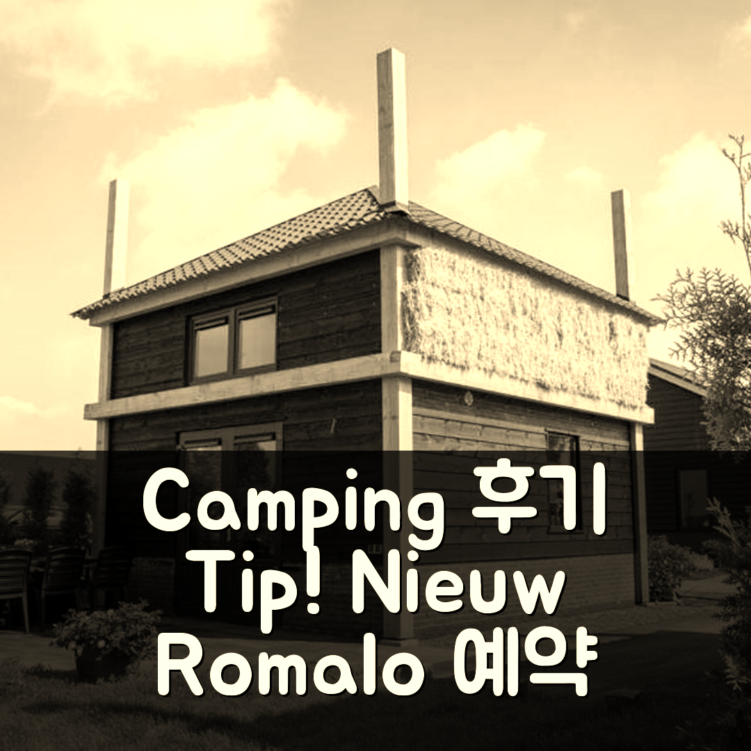 Camping Nieuw Romalo 부투이젠 후기 및 예약 꿀팁!