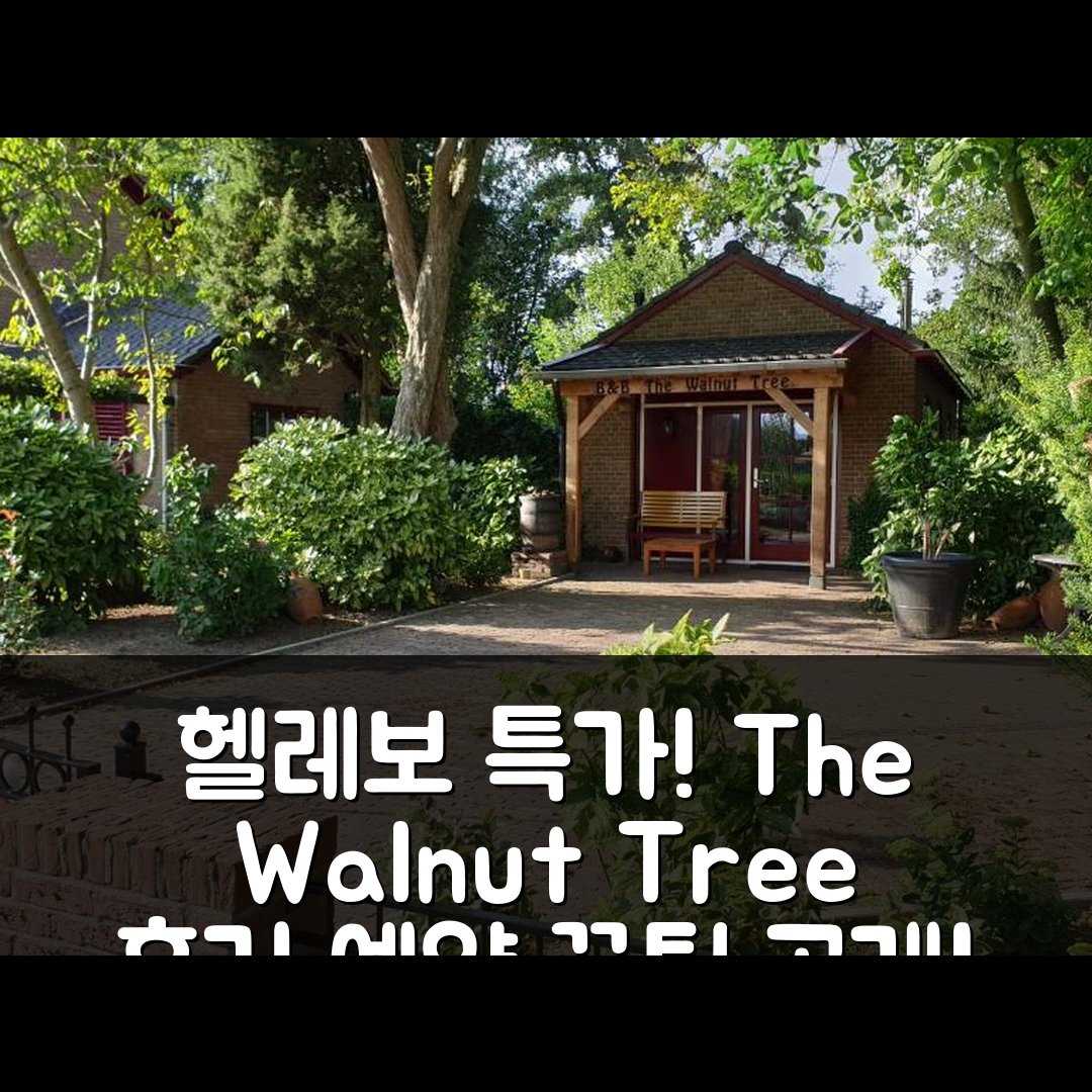 The Walnut Tree, 헬레보에스루이스 후기 및 특가 예약 꿀팁!