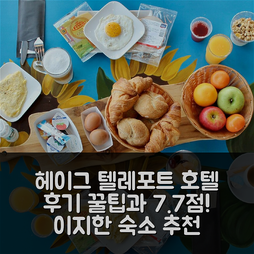 더 헤이그 텔레포트 호텔 후기 & 꿀팁 (헤이그 7.7점 숙소