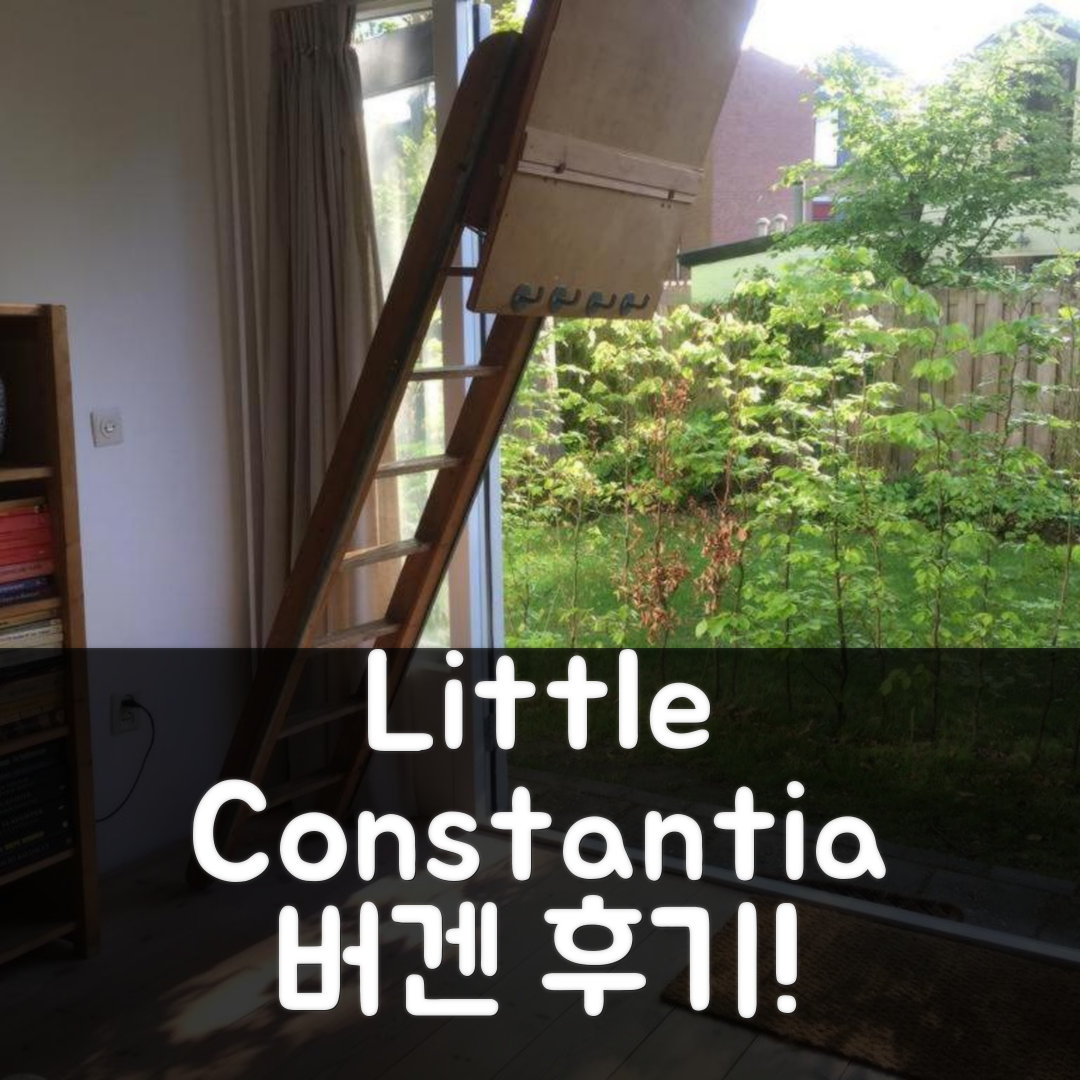 Little Constantia 버겐 후기 및 할인 꿀팁!