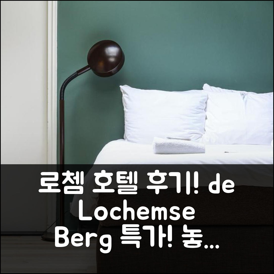 de Lochemse Berg 로쳄 호텔 후기 및 특가 팁!
