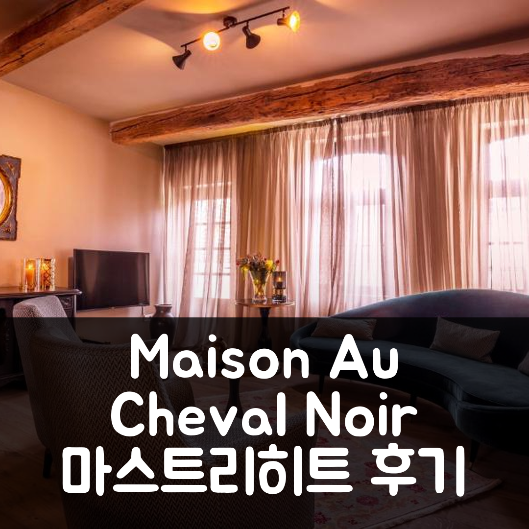 Maison Au Cheval Noir 마스트리히트 후기+특가 예약 팁
