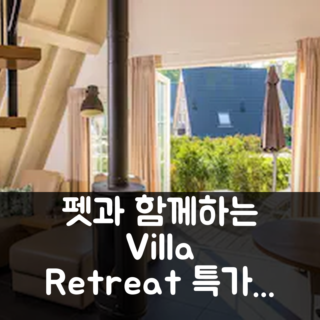 Villa Retreat with Pets 헬렌돈 특가 예약 꿀팁!