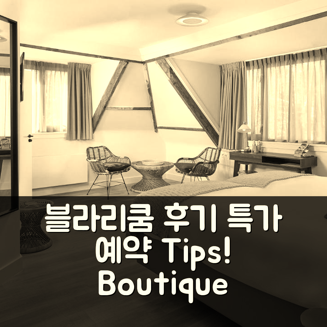 Boutique Hotel Bellevue 블라리쿰 후기 & 특가 예약 꿀팁!
